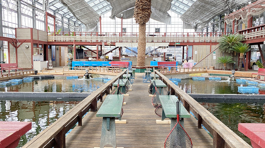 リオスフィッシュパークがさらに新しくなりました