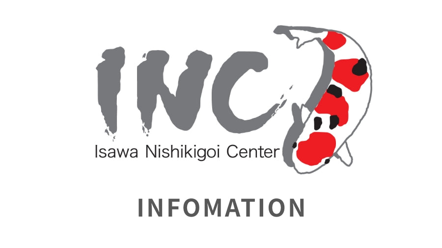 石和錦鯉センターのオンラインストアを開設しました。